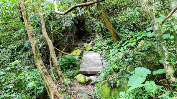 暖東峽谷大環小環2834401