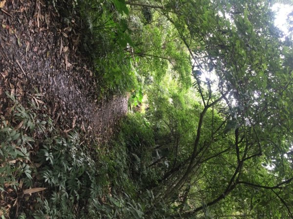 鳥嘴山（上島2708550