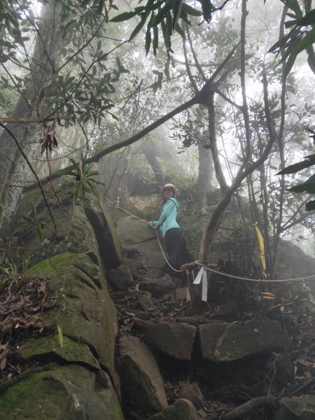 小百岳(32)-向天湖山-202110301674135