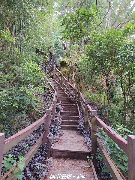 【台中潭子】風和日麗健行趣。 新田登山步道x聚興山2310408