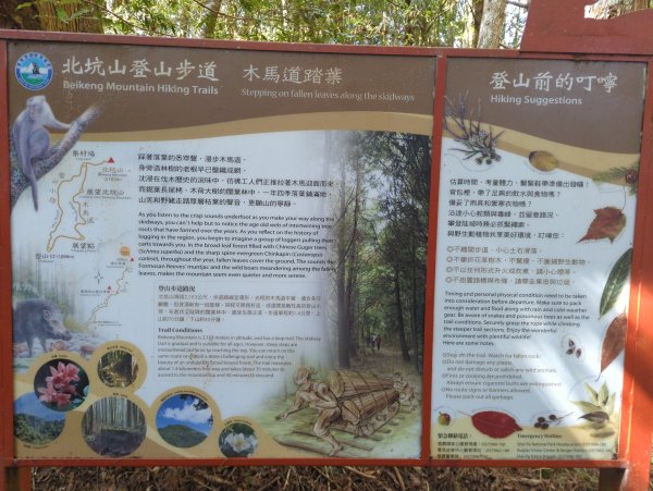 2025.12.06－北坑山步道&雪見遊憩區2956249