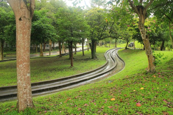 雨紛紛之羅東運動公園202011281190279