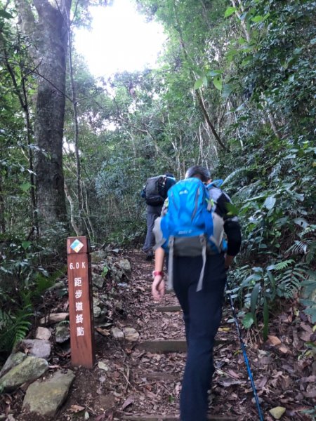 臺中 和平 馬崙山1150975