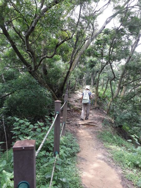 台中新田登山步道20180823396402