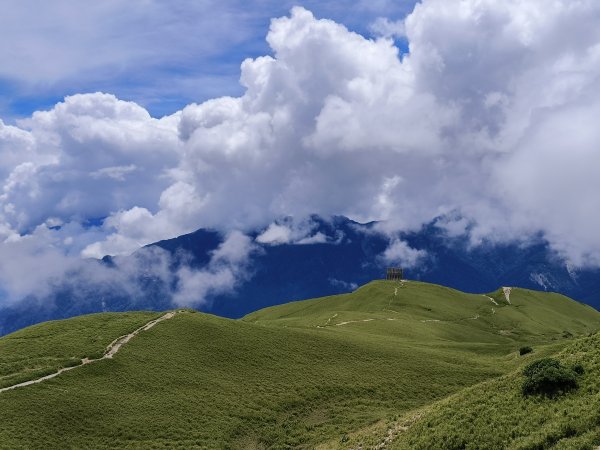 南投/花蓮-合歡北峰3053833