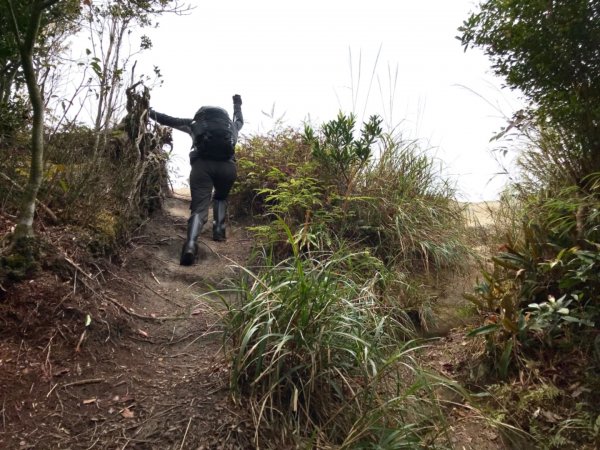 水田林道走蓮包山上外鳥嘴531812