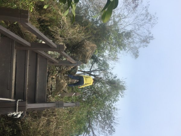 龍麟山步道（王爺崙2703663