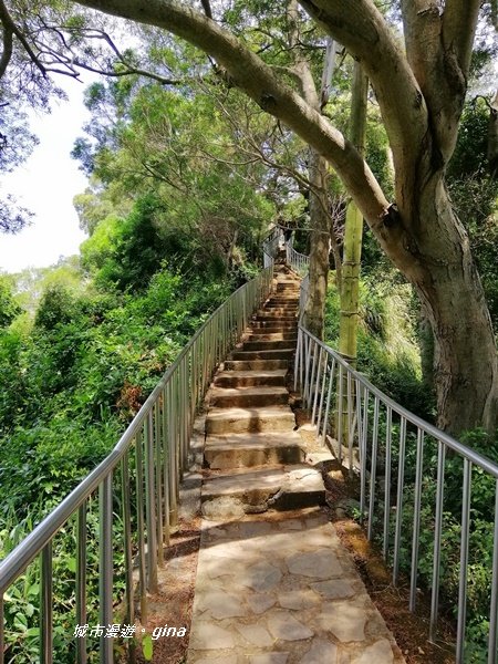 彰化田中~蓊鬱山林賞景趣~田中森林步道1043648