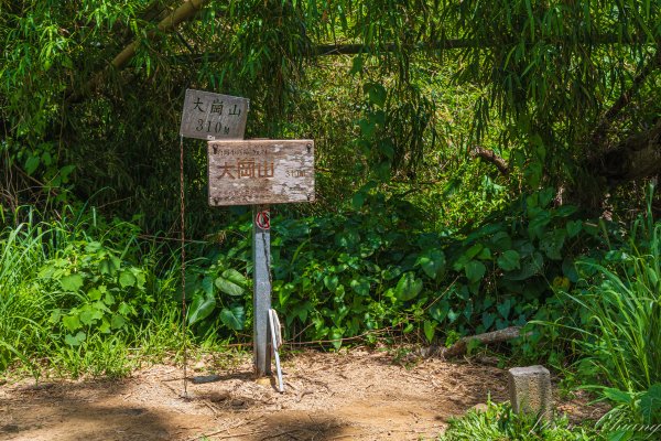 [高雄]大崗山2590454