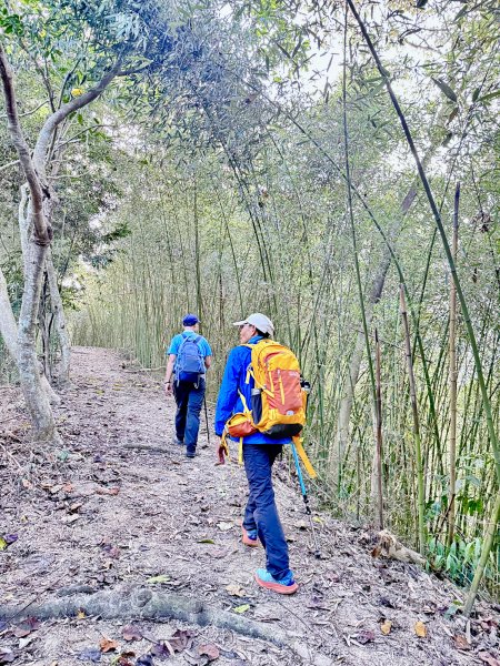 再訪八通關社寮古道登陳東坑山    2025.11.252946102