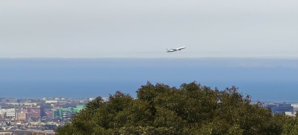2026/01/25-五酒桶山、山鼻山步道2988100