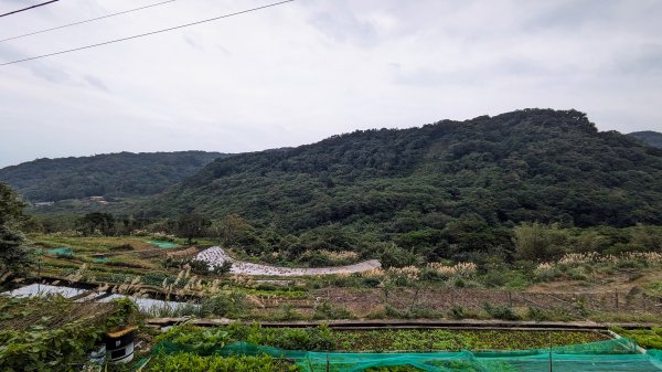 石門茶山步道2396573