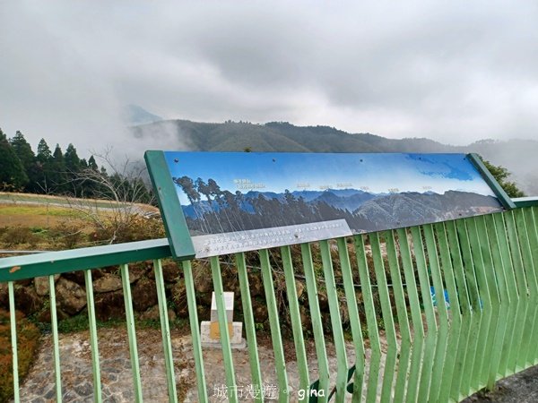 【雲林古坑】療育綠廊。 雲嶺之丘 x杉林步道x五元二角2760574