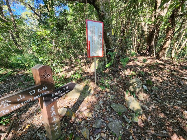 20230924 谷關雙雄，屋東縱走（屋我尾山，東卯山）2293427