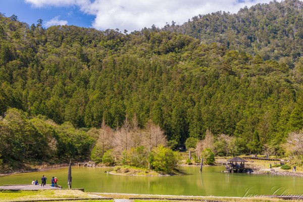 [宜蘭]明池森林遊樂區2725160