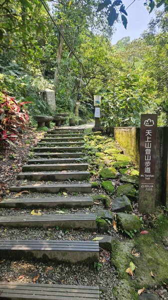20260413天上山-三粒半（大中半小粒）-火焰山-太子嶺-雷公岩O型3037724