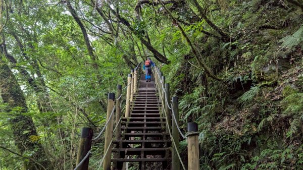鎮西堡巨木步道群 (B區)2861211