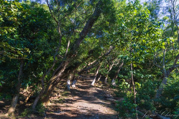 [台中]鐵砧山、永信運動公園2642305