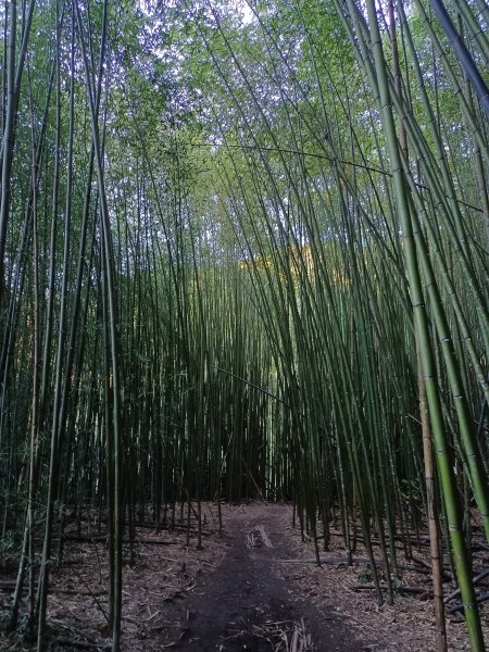 霞喀羅古道1562716