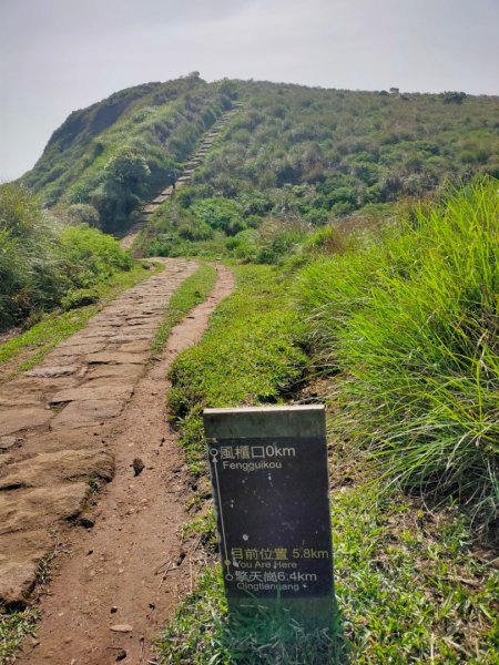 ［走遍陽明山］頂山石梯嶺步道+坪頂古圳2186454