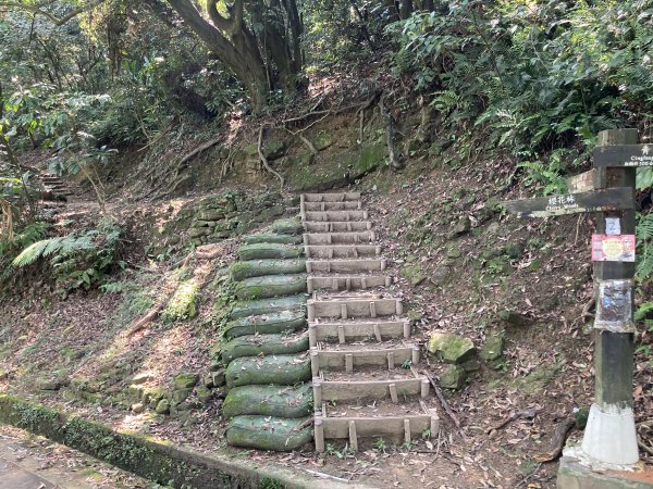 大棟山登山步道2496069