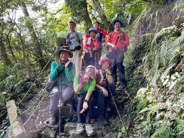 【雲嘉茶園之美】後棟山連走大二尖山1532226