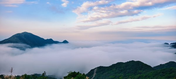 #樹梅坪 #金瓜石 12/102958912