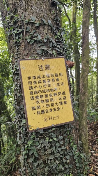 【關刀有兩把，簡單的先拿！😁😁】出關古道-聖關段，小百岳#036關刀山，就叫它小關刀吧。3061683