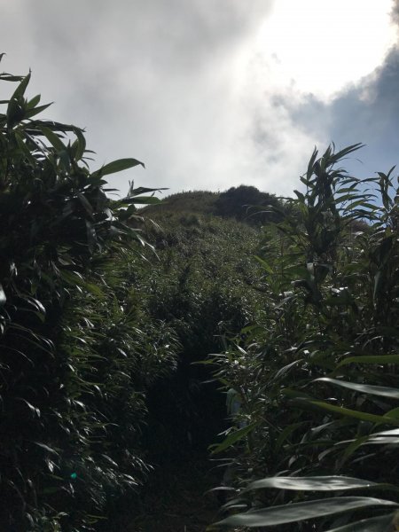 七星山攻頂577488