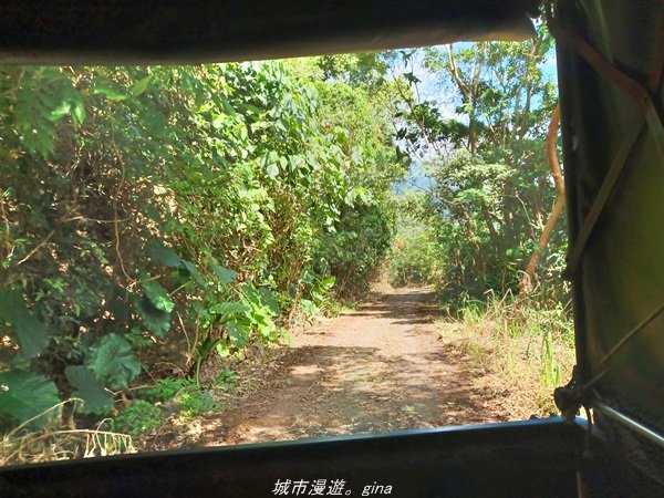 【台東。大武】一路搖晃碰碰車。小百岳集起來。  編號95小百岳-加奈美山步道1640904