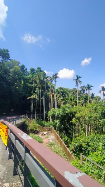 梅山半天雲之道暨古道汗路3060807
