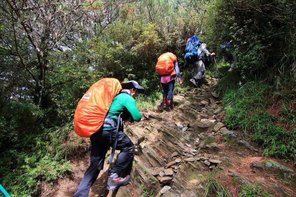 雪山主東峰523706