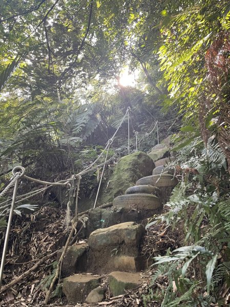 【鳶山山系】鳶山彩壁2858074