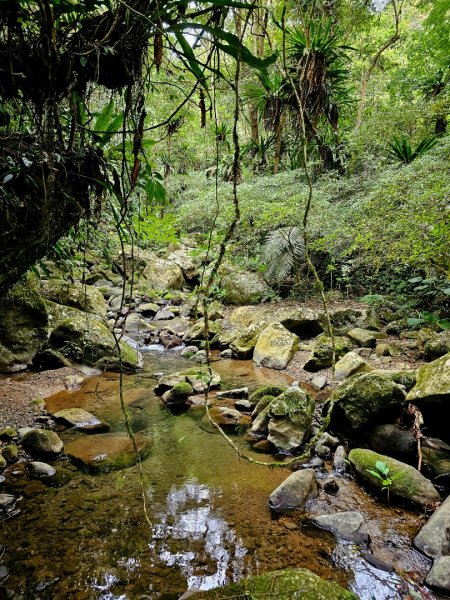 馬胎古道、馬胎二期古道、南坪古道2986003