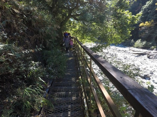 晨晨挑戰志陽佳大山 陡上1700欣賞20240820