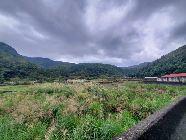 【福隆 | 草嶺古道】1172505