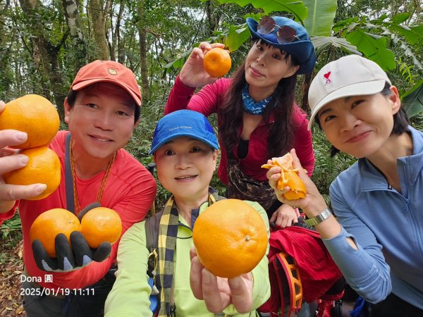 小百岳馬那邦山(H1407m)加碼採草莓2694681