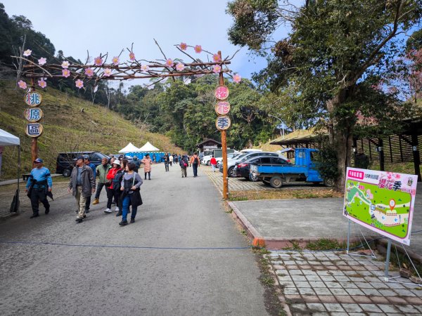 2026-02-08 藤枝山2998424