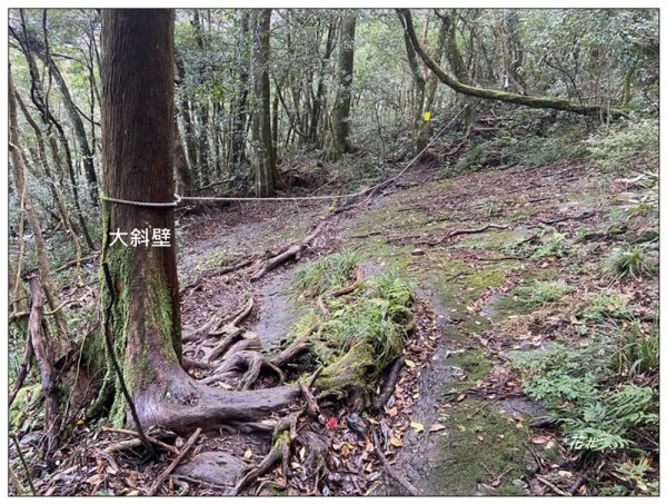 赫威山、多崖山、北插天山 連走2957287