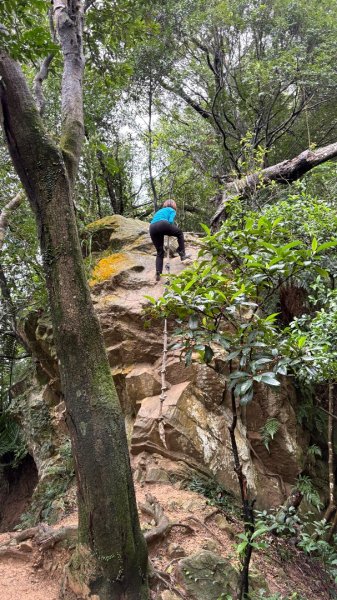 迎新（2026元旦2975554