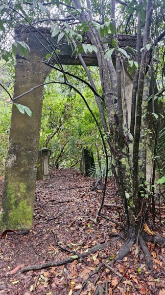 20250413浸水營古道2760344