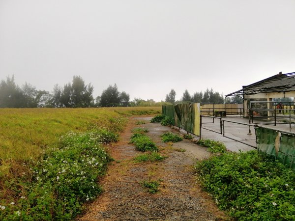輕鬆好走但我們遇上微雨強風~小百岳鐵砧山918660