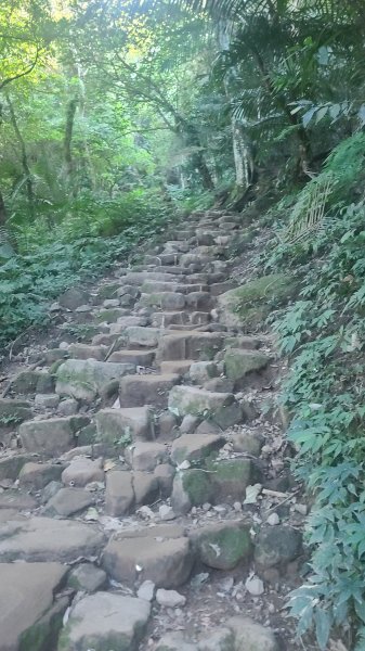 2026-0114溪州山小百岳2984881