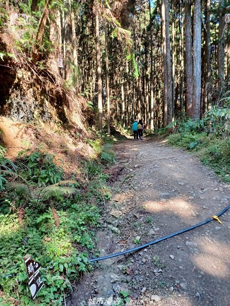 【新竹。五峰】  悠遊山林。 小百岳集起來。 編號31小百岳~鵝公髻山步道x山上人家1652458