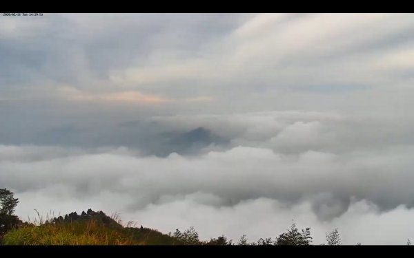 阿里山雲瀑&雲海/富士山直播即時視訊833453