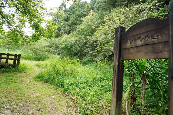 新竹 竹東 上坪山、五指山2541687