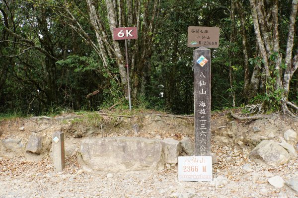 台中 和平 南松鶴山、八仙山、東松鶴山2877984