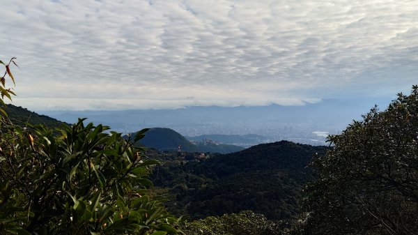 20260125 陽明山前後山健行(無極天元宮~山仔頂步道.向天池.向天山.面天山.二子坪)2998075