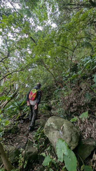 113.12.28小鷹尖-關山嶺-五八山-凌雲尖-龍女岩之旅2679360