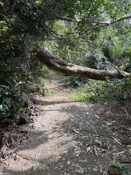 20251018台南 崁馬鞍部啟登崁頭山2920729